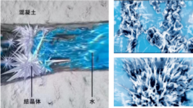 1668473198430574.png 1668473198430574.png